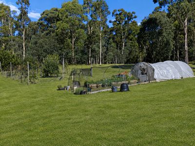 88 Altmans Road, Tolmie