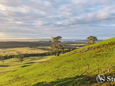 260 & 310 Mt William Road, Goldie