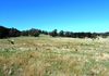 1495 Cargo Road, Orange