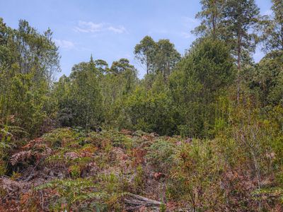 Lot 1, Link Road, Lonnavale