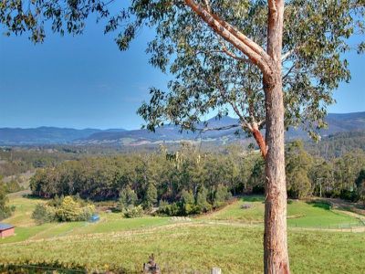 110 Waggs Road, Mountain River