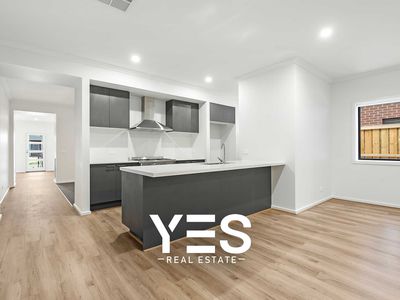 33 Bromeliad Street, Clyde North