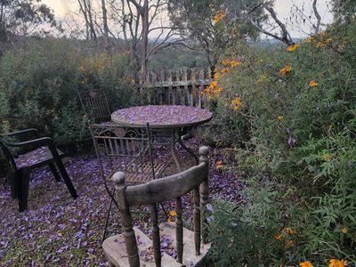 474 Whelan Road, Bollier