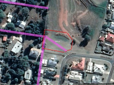 25 Avocado, Kingaroy