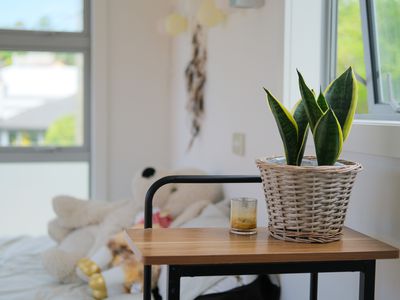 79 North Road, North East Valley