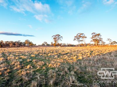 14 Sunnyview Drive, Glen Innes