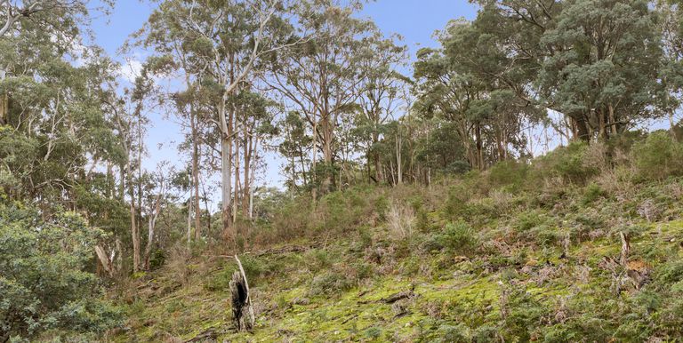 Lot 1 & 2 McCombes Road, Creek Junction