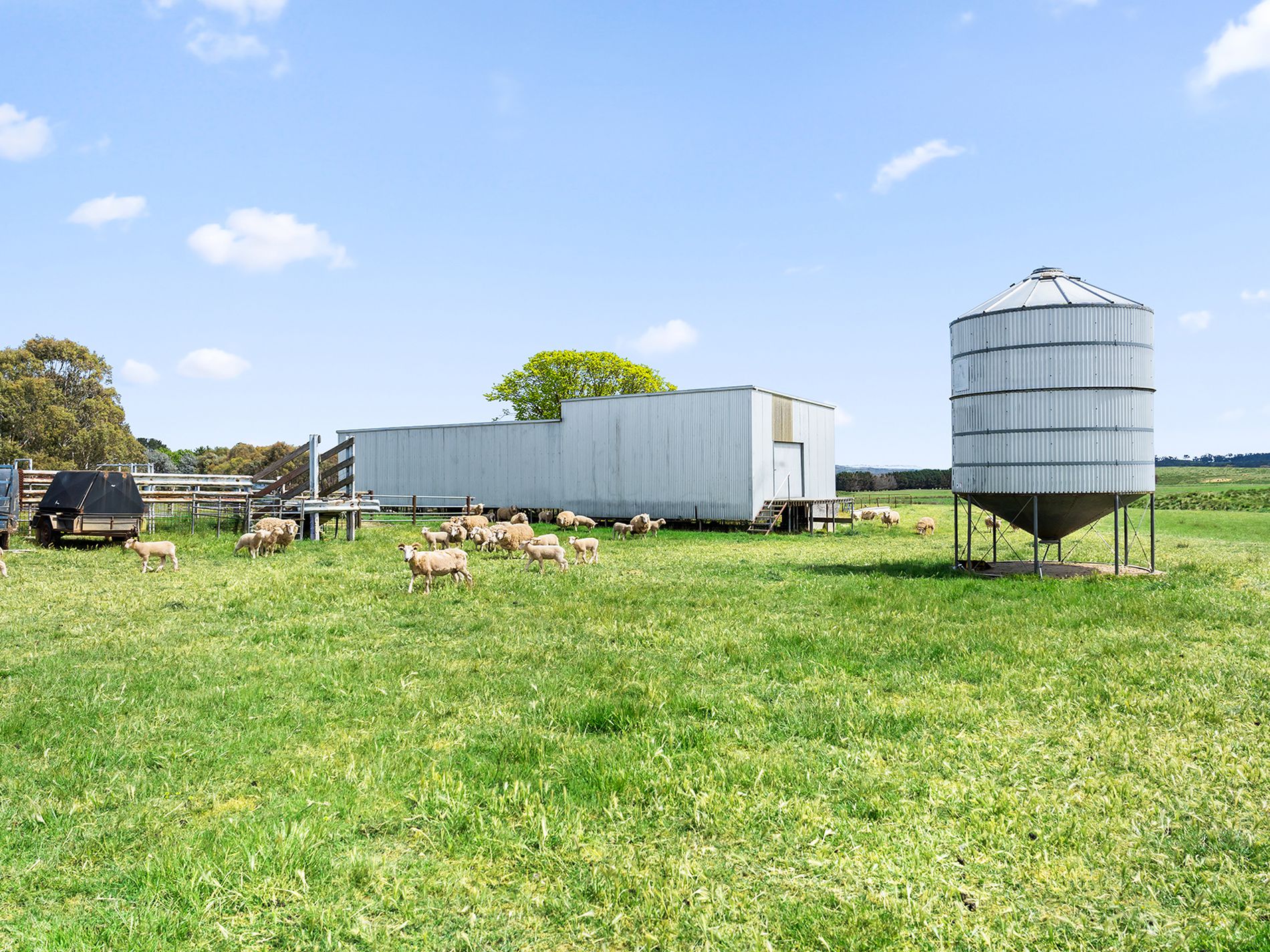 1444 Hoskinstown Road, Hoskinstown