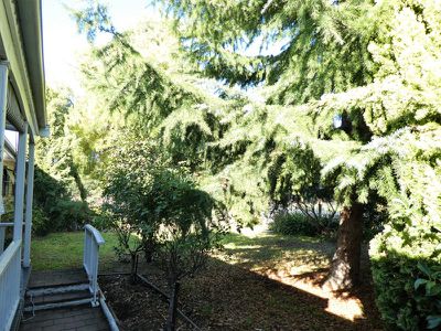 39 Shelton St, Avenel