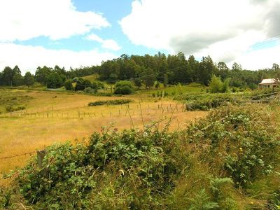 Braeside Road, Franklin