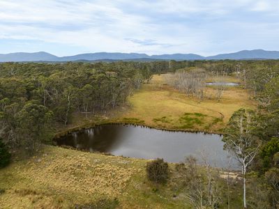 107 Webbs Road, Braidwood