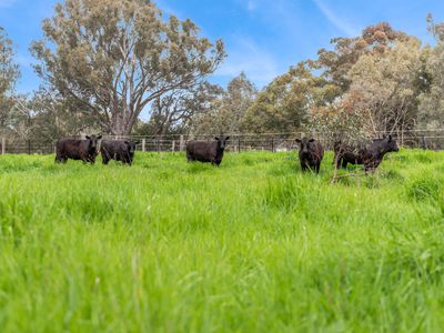 543 Benalla-Tatong Road, Benalla