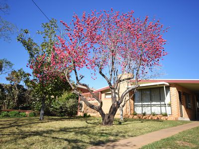 13 Banksia Crescent, Dubbo