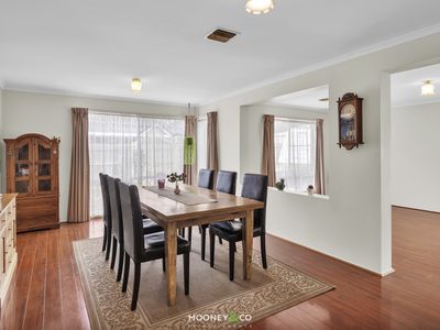 53 Cherryhills Drive, Cranbourne