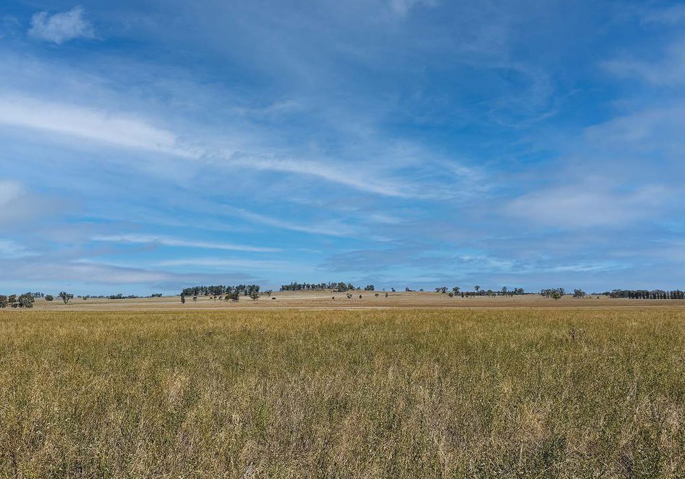 2643 Back Trundle Road, Cooks Myalls