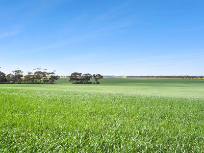 1218 Lower Darlington Road, Lismore