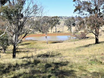 489 Inn Road, Ben Lomond