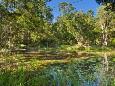 11 Tea Tree Lane, Tinbeerwah