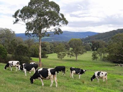 136 Bunkers Hill Road, Kangaroo Valley