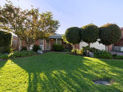 6 Reynard Ct, Langwarrin