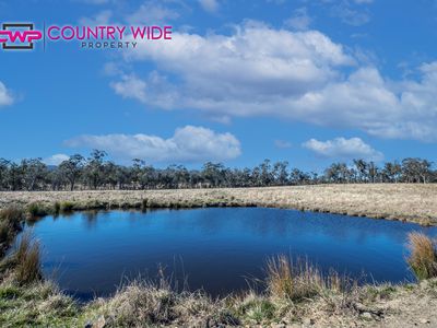 1929 New England Highway, Dundee