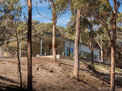 Lot 1 / 1290 Palana Road, Blue Rocks