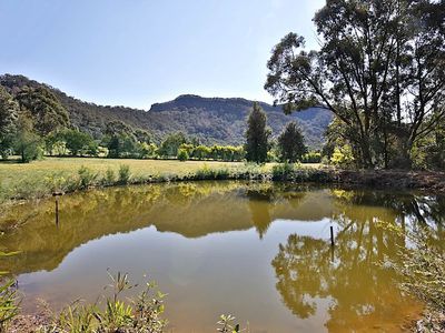439 Jacks Corner Road, Kangaroo Valley
