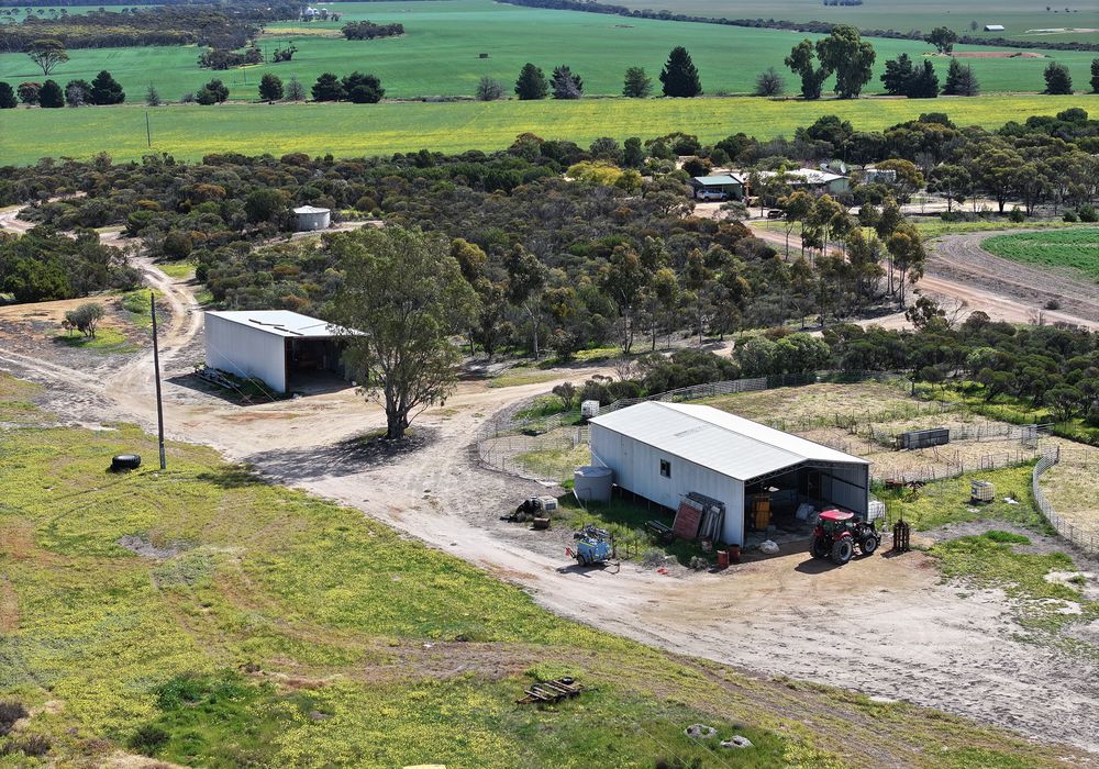 'Kamdarley' & 'King View', Hyden