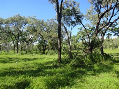Poison Creek Road, Cooktown