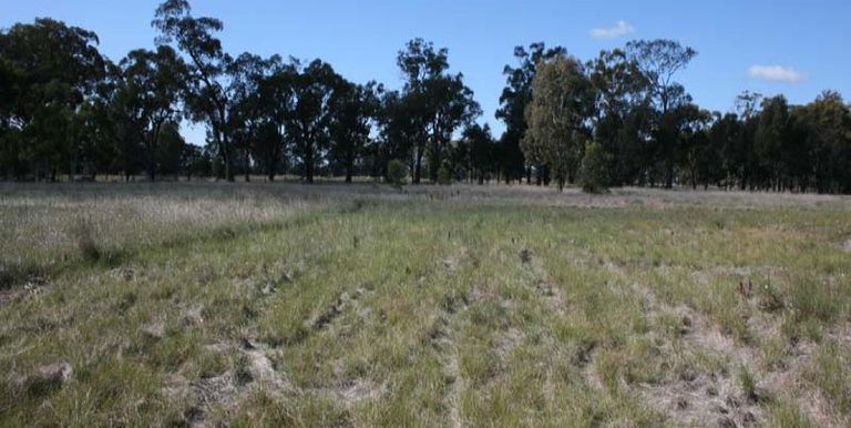 2 / Euroa Shepparton Road, Miepoll