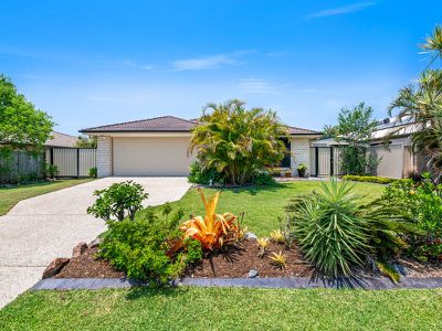 36 Daintree Boulevard, Little Mountain