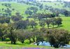 1039 Mitchell Highway, Orange