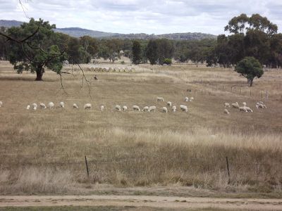 Glen Innes Road, Emmaville