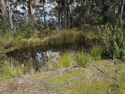 Lot 1, Guys Road, Cygnet