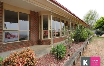 264 Old Drouin Road, Longwarry