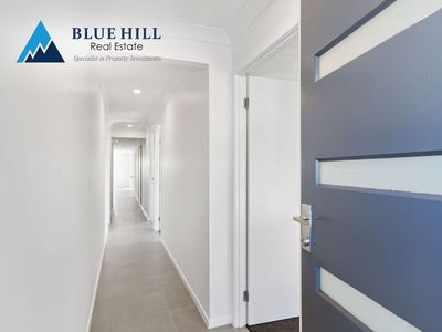 81 Dairyman Drive, Raymond Terrace