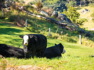 49 Mount Dromedary Trail, Tilba Tilba