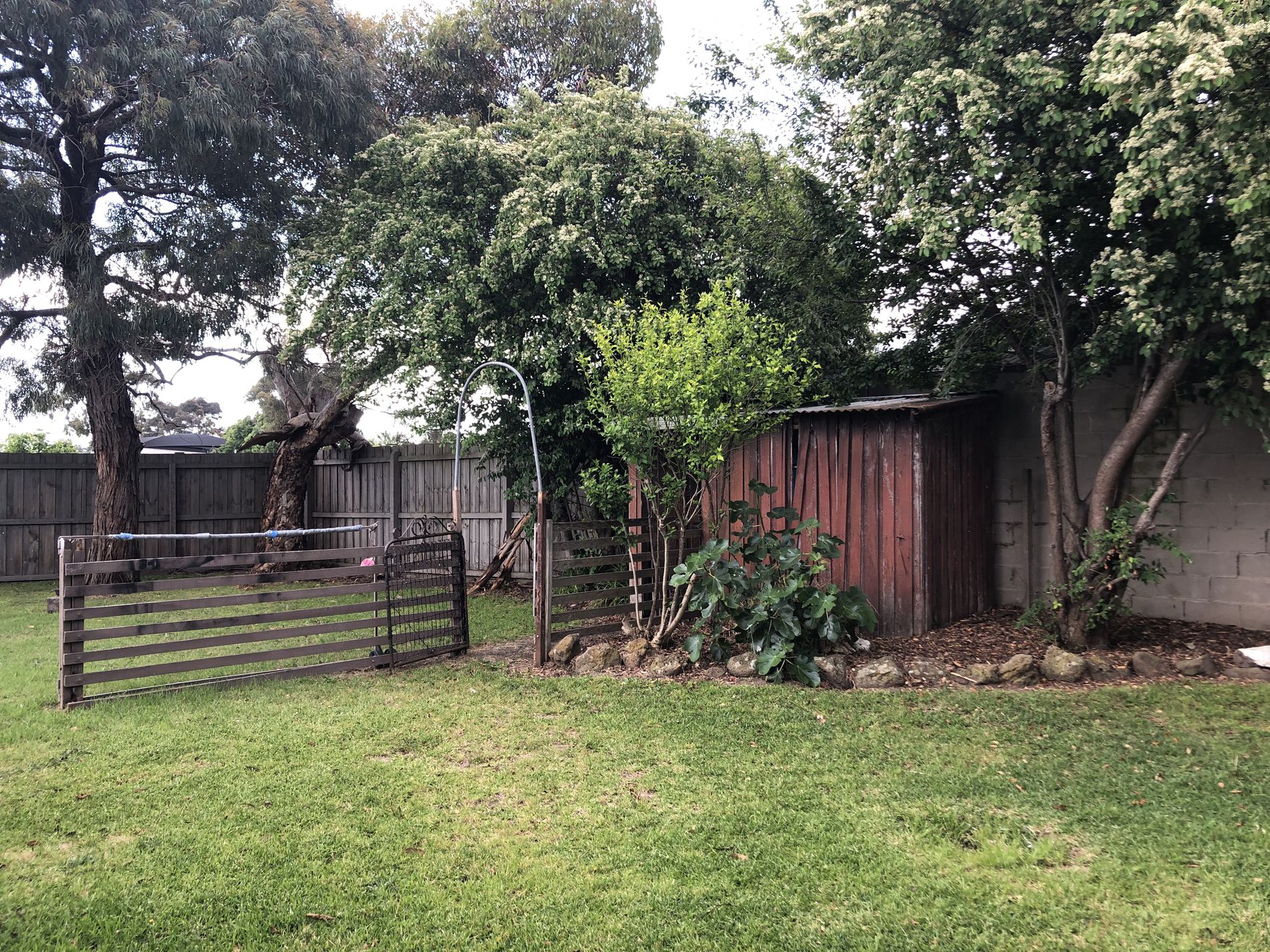 14 Hibiscus Crescent, Newcomb
