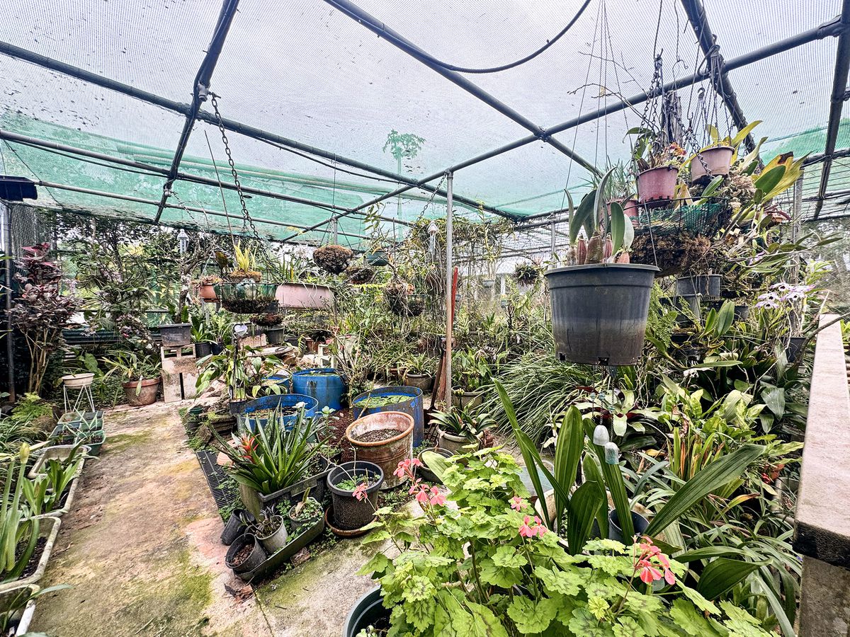 14 Roseblade Street, Yungaburra