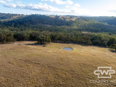 13 Bluff River Road, Tenterfield