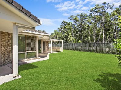 3 Scribbly Gum Court, Tewantin