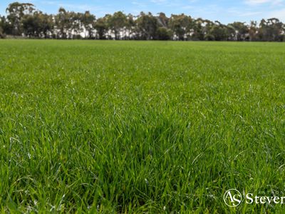 499 Old Wedderburn Road, Slaty Creek