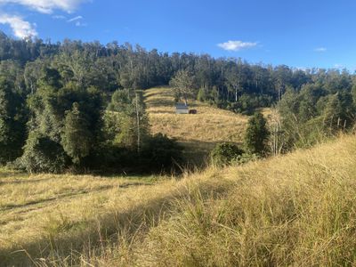 Lot 94, 2667 Pappinbarra Road, Pappinbarra