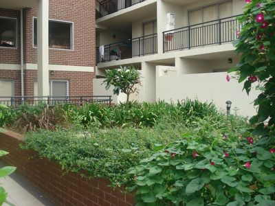 7 / 818 Canterbury Road, Roselands