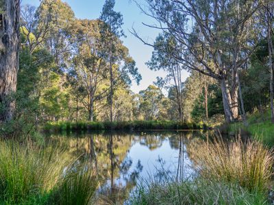 630 Glenroy Road, Merrijig