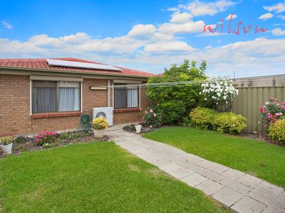 87 Beaconsfield Terrace, Ascot Park