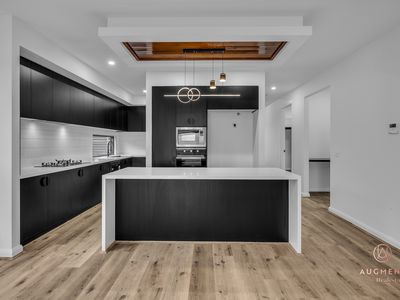 31 Fawcett Road, Lucas