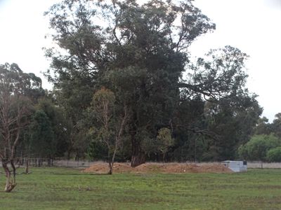 373 Grimwade Road, Wahring