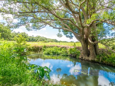 6044 Tweed Valley Way, Burringbar