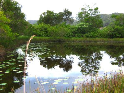 427 Shaws Road, Hollisdale